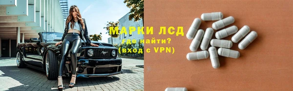 крисы Медвежьегорск