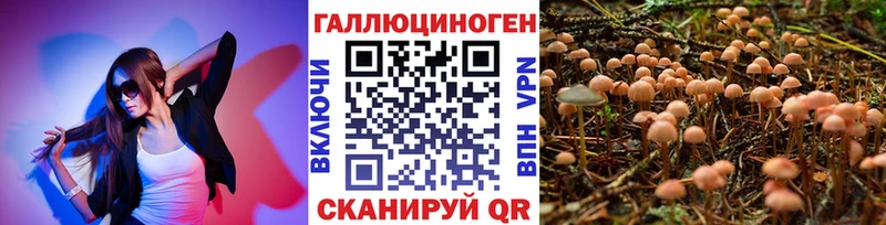 Галлюциногенные грибы мицелий площадка официальный сайт Копейск