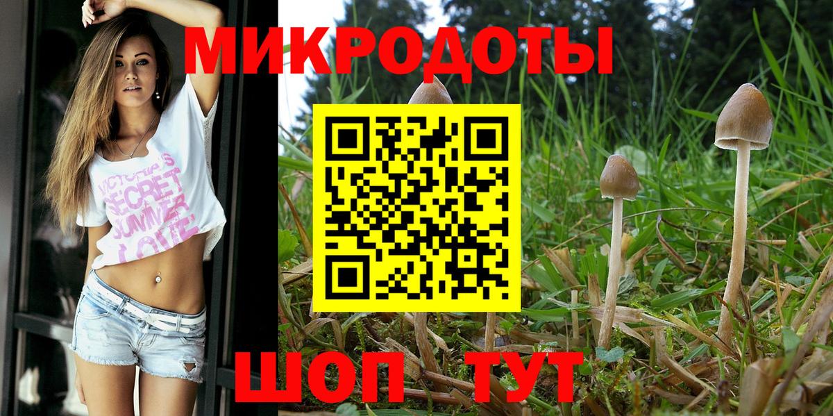 Псилоцибиновые грибы прущие грибы  Псилоцибиновые грибы Cubensis  Копейск  Вход с VPN 